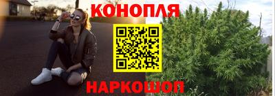spice Кандалакша