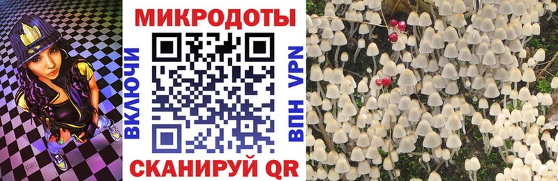 Галлюциногенные грибы Psilocybe  Усть-Илимск 