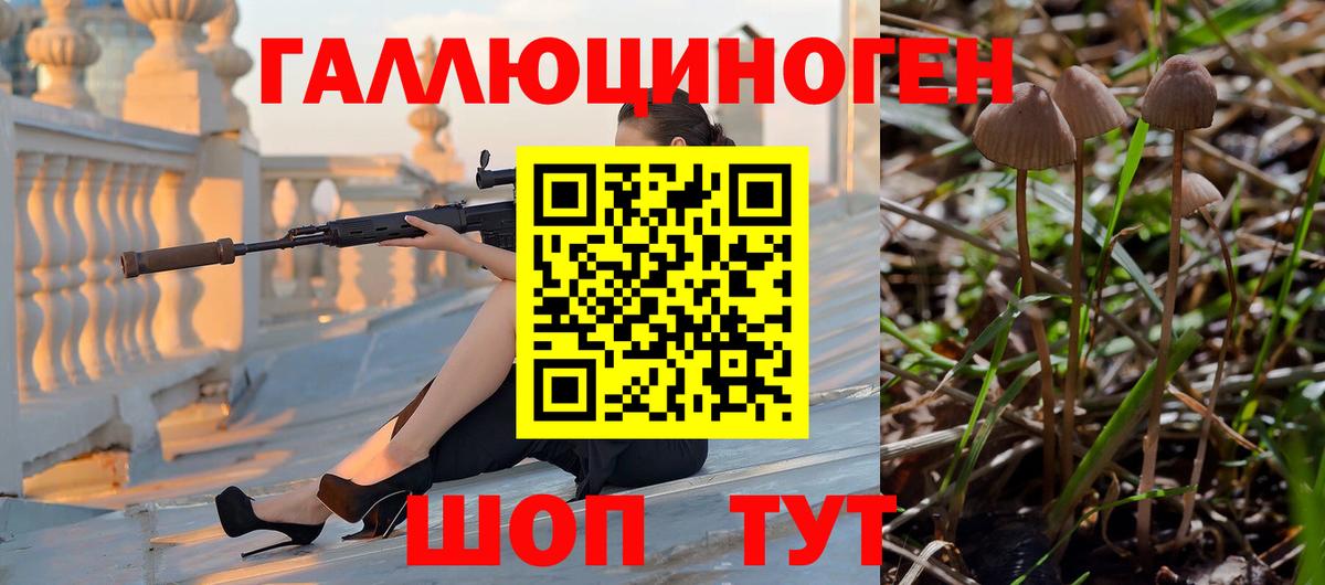 Галлюциногенные грибы Psilocybine cubensis Усть-Илимск